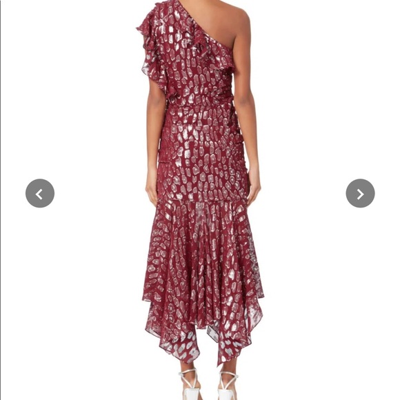 VERONICA BEARD Leighton Leopard Dress EUC - Picture 5 of 15